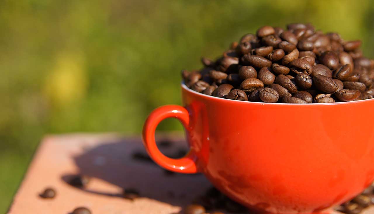 Genuss Kaffee Häferl Sonne